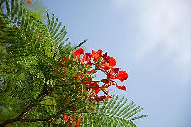 《街头霸王6》“杰米”制作幕后 专业霹雳舞者参与动捕